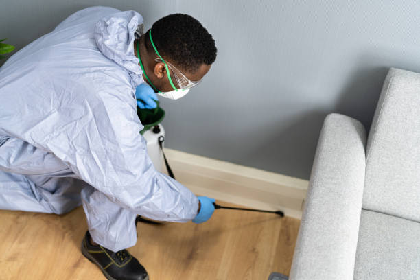 Best Emergency Pest Control  in Mesa, AZ